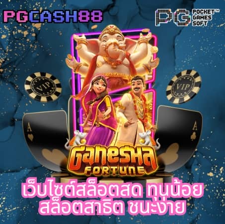 โค้ดฟรี waspbet